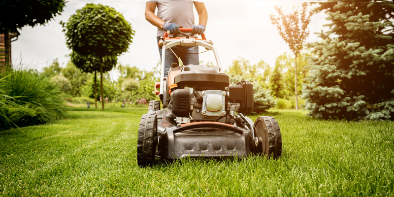 Read more about the article Lawn Mower Safety Tips