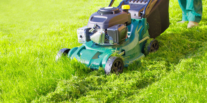 You are currently viewing How to Choose a Walk-Behind Mower That’s Perfect for Your Needs