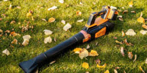 Read more about the article Discover the Versatile Uses of Leaf Blowers