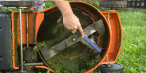 Read more about the article Spring Maintenance Tips for Lawn Mowers