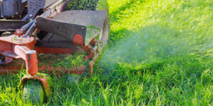Read more about the article Essential Accessories for Your Lawn Mower